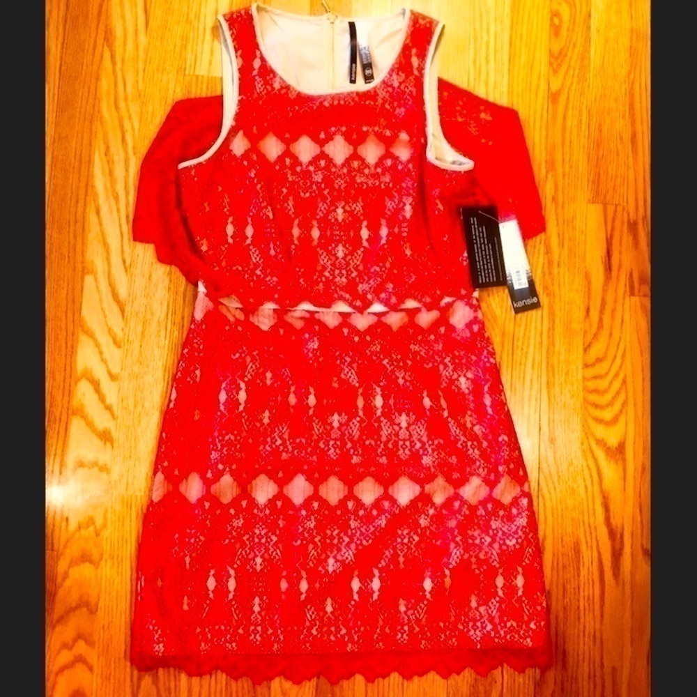 Kensie NEW with TAGS! Cocktail Dress Lace Zipper​